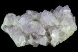 Stunning, Wide Amethyst Crystal Cluster - Large Points #78152-2